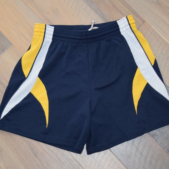Vtg Teamwork Athletic Apparel Double Needle SHORTS Men’s S Michigan Color Block - Picture 1 of 9